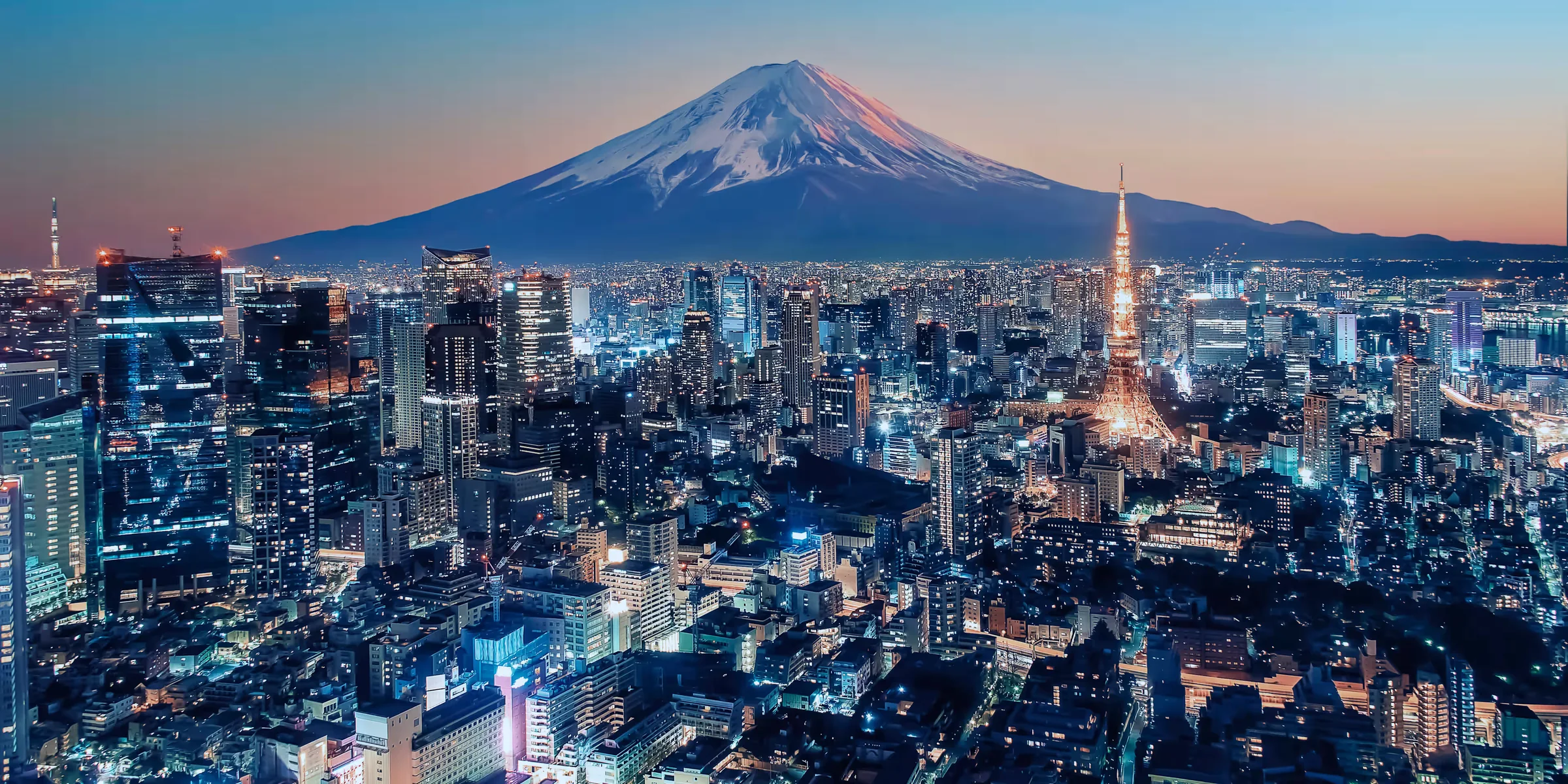 A view of Tokyo